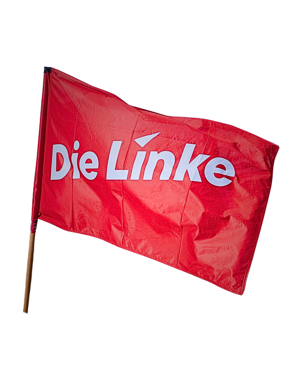 Die Linke beantragt Klimageld für Linkshänder